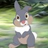 old rabbit
